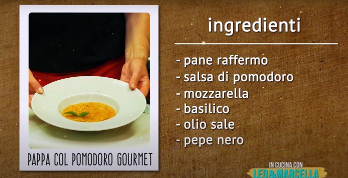 Pappa col pomodoro gourmet